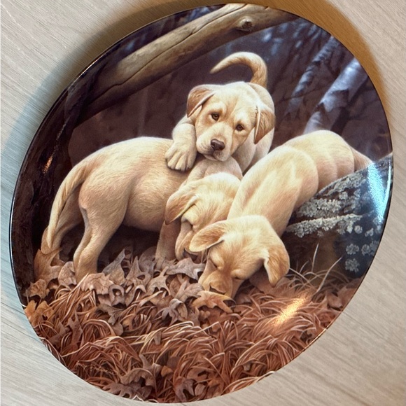 Limited Edition Bradford Exchange Collector Plate - Labrador Retriever Puppies - Picture 9 of 12